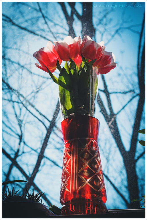 наши букетики)