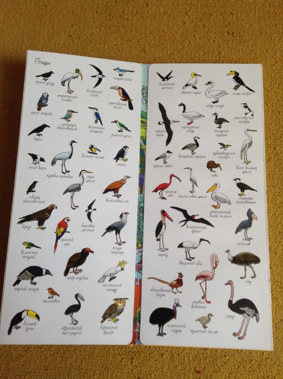 Читательский дневник. Май 2014. Феде 3,9