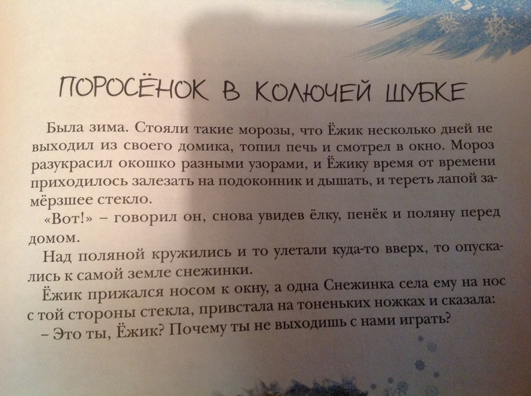 Поросенок в колючей шубке !