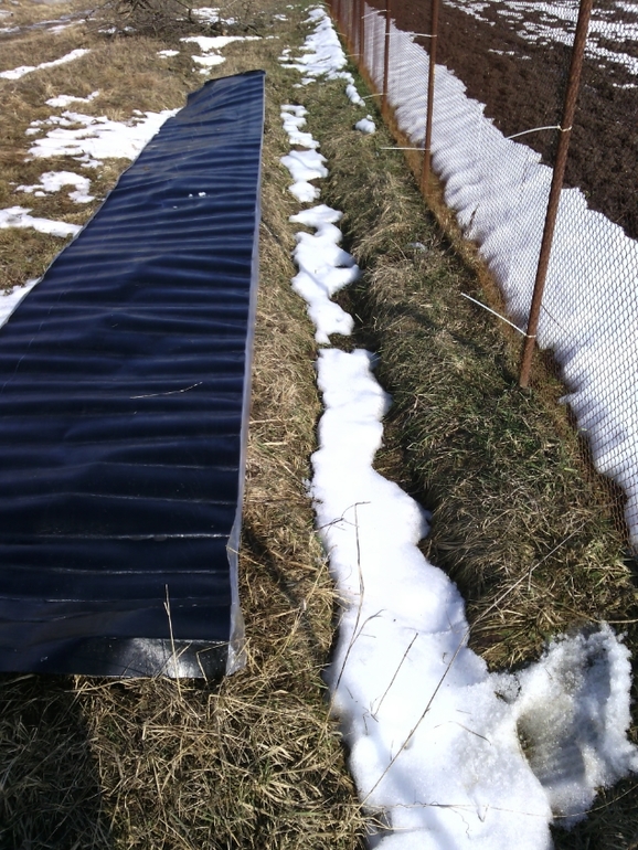 мой праздничный день