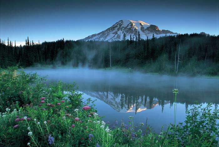 Веб-камеры в разных уголках мира в режиме реального времени.