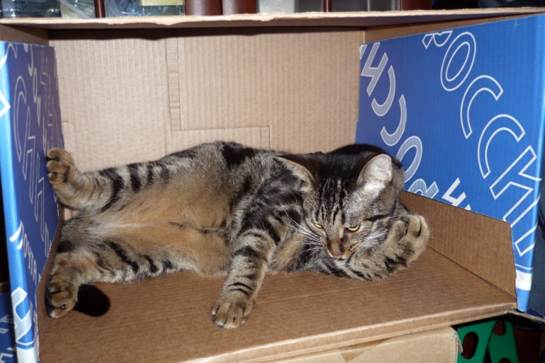 Нашёл себе пентхаус