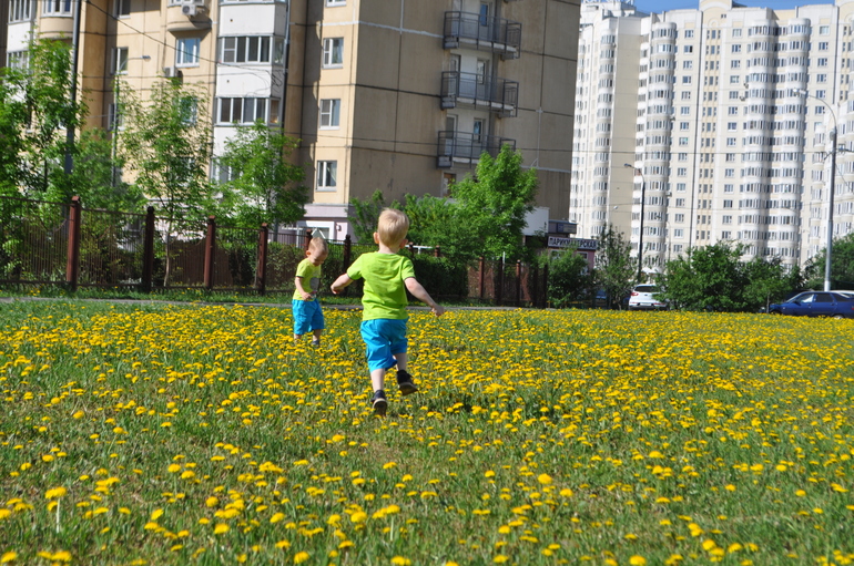 Говори не переговори :) 2,5
