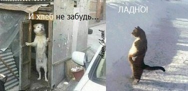 0e6db1976afbbaa0ba5e5511dd92021a.jpg