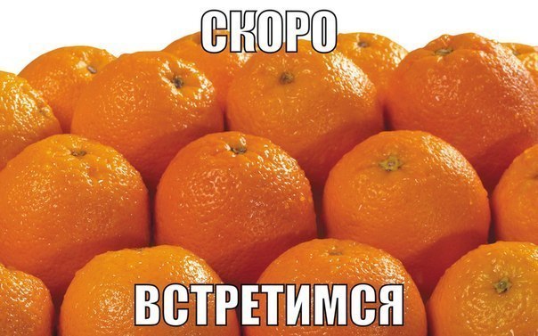 e8ffa55a108312cc9b73054d005e4c1c.jpg