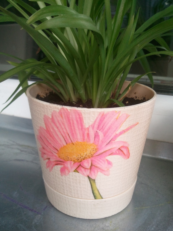 Горшочки с герберами