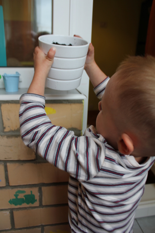 Как мы сажали желудь.