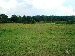 Продается дом с участком в Тамбовской области.