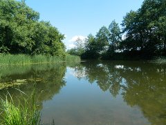 Продается дом с участком в Тамбовской области.