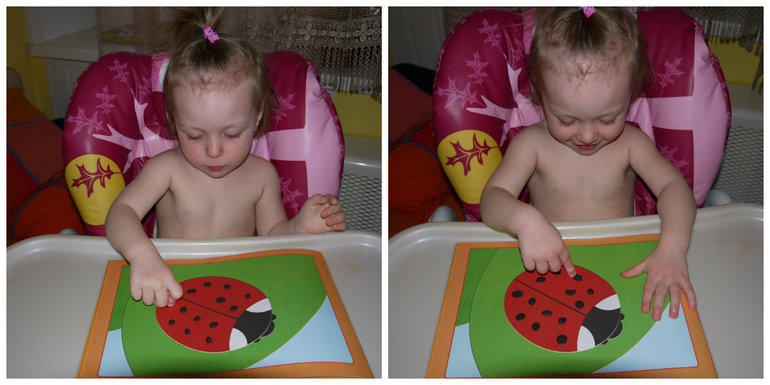 ТН "Как растут овощи" . День 4.