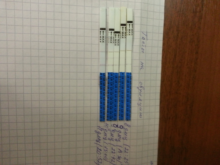 была ли овуляция? ??