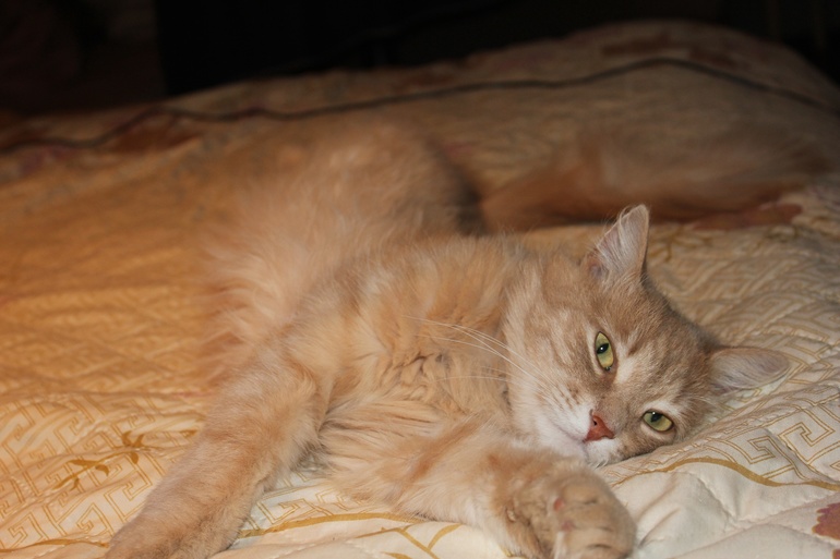 Один день из нашей жизни....