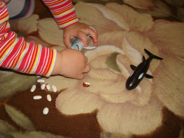 ФМ Море. День Четвертый