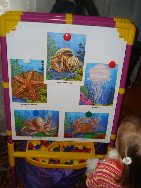 ФМ Море. День ТРЕТИЙ