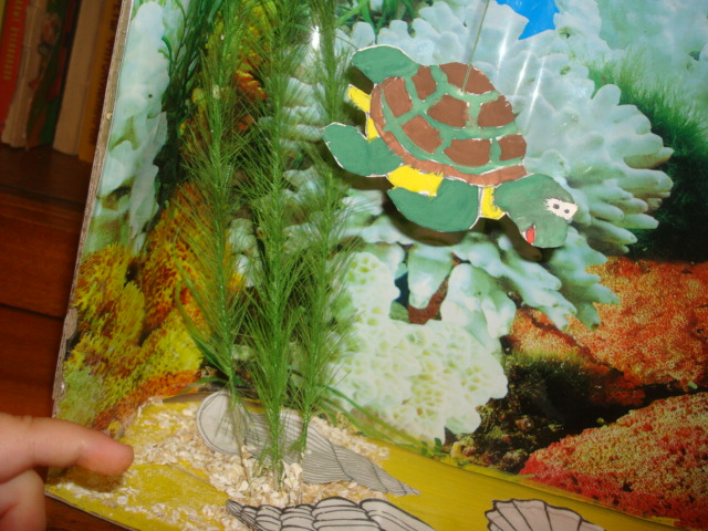 ФМ Море. День Четвертый