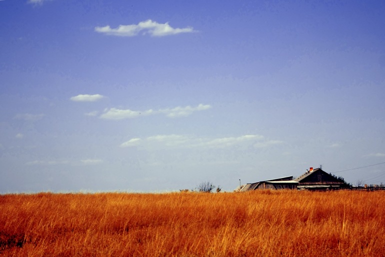 Долой из города!!! Хочу жить в деревне!!))))