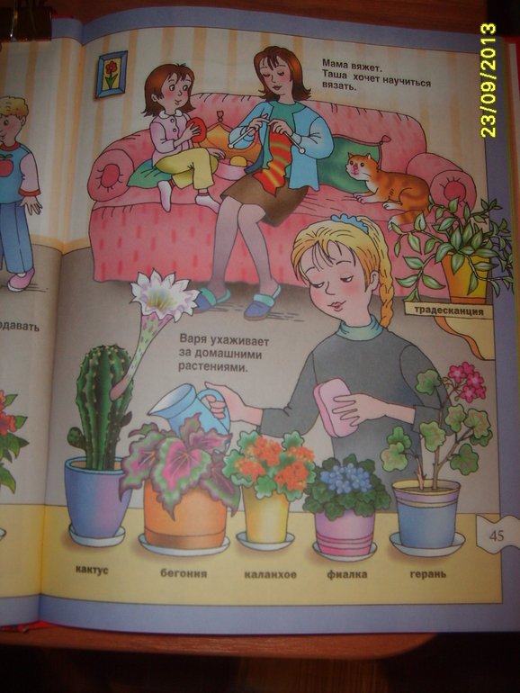 Мои запасы