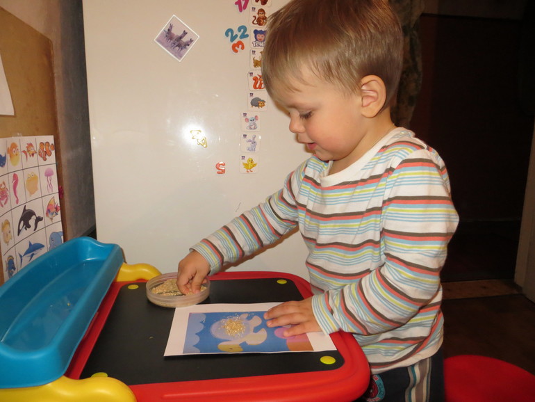 ТН Море. Дни 4-5. Морские обитатели и корабли