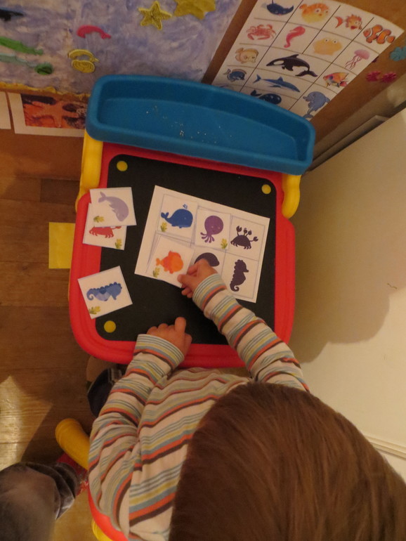 ТН Море. Дни 4-5. Морские обитатели и корабли