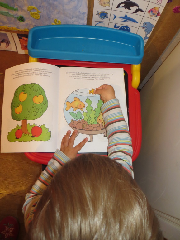 ТН Море. Дни 4-5. Морские обитатели и корабли