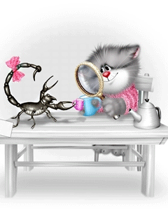 милые котейки)))