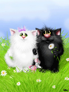 милые котейки)))