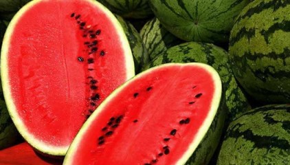 к чему снятся арбузы?
