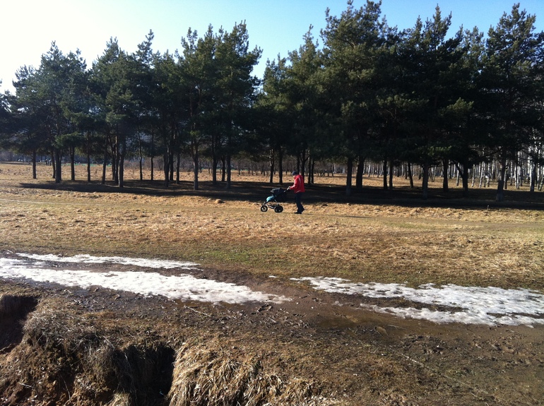 Mountain Buggy Urban Jungle