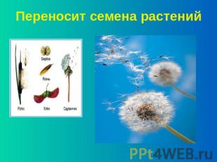541b5d9c82d7ead3e02a35ea60fa5f79.jpg