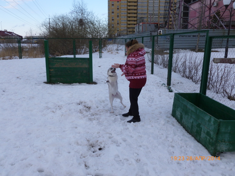 Просто так)