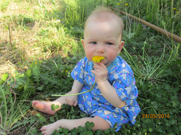 Приобщаемся к природе