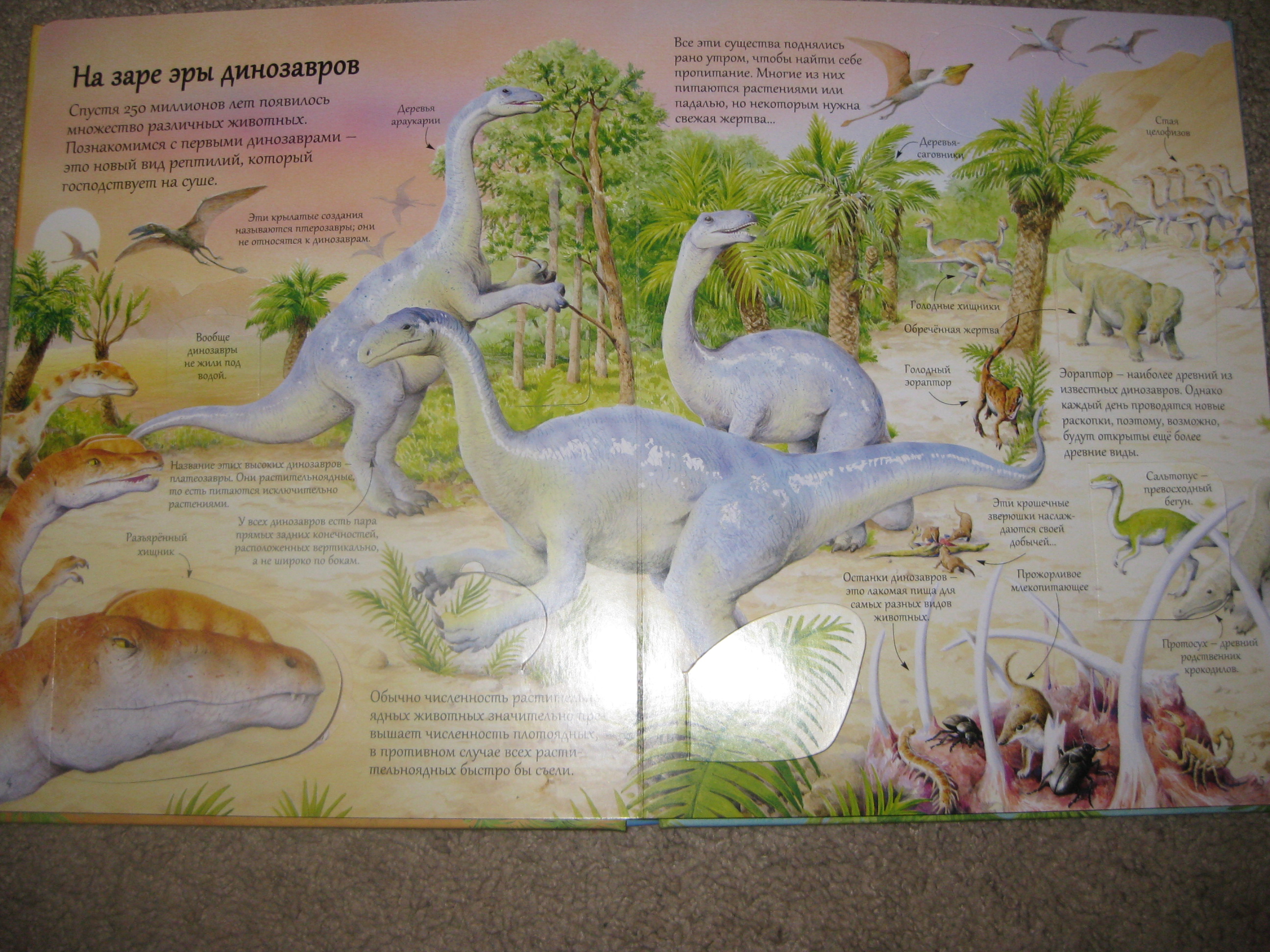 Книга про динозавров