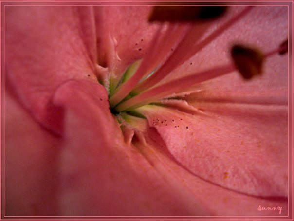 С Весной, девочки!