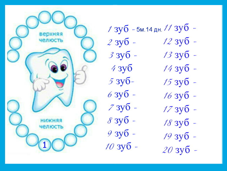 Первые зубки у грудничков когда начинают расти схема и их симптомы