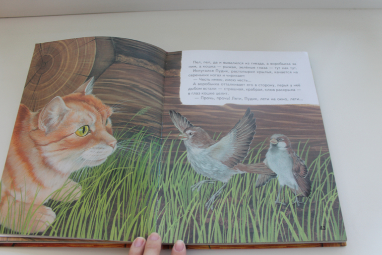 Наши Читалки Июнь - 1 год 6 месяцев