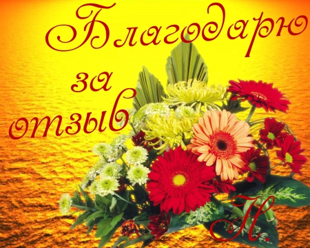 de1528184939b7b65e7d2b3f922cd7e6.jpg