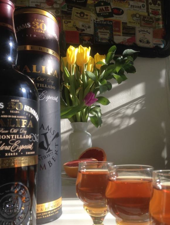 Опыт эксплуатации коляски Phil & Teds - Navigator. часть 1