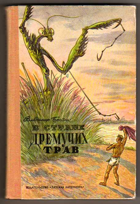 Траве аудиокнига. В стране дремучих трав 1948. Книги для детей 1993г.в Брагин в стране дремучих трав. Детская книга о приключениях маленьких существ. Александр Карпов в стране дремучих трав.