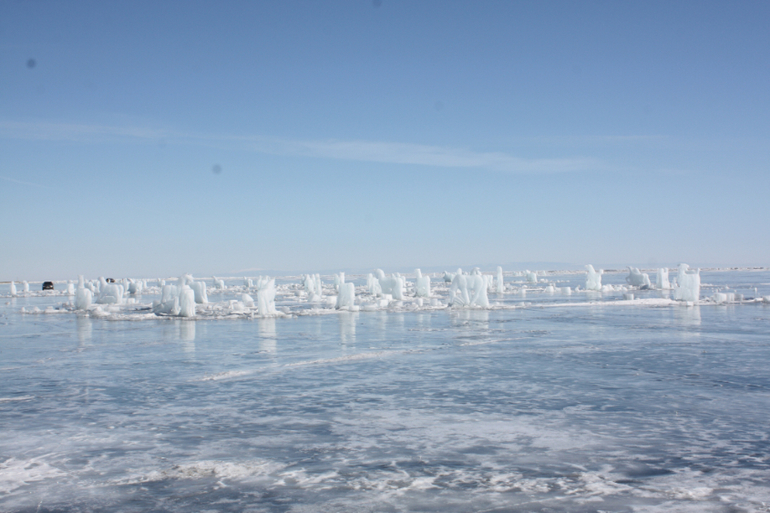 Табун ветров)) международный день ледяного молчания))