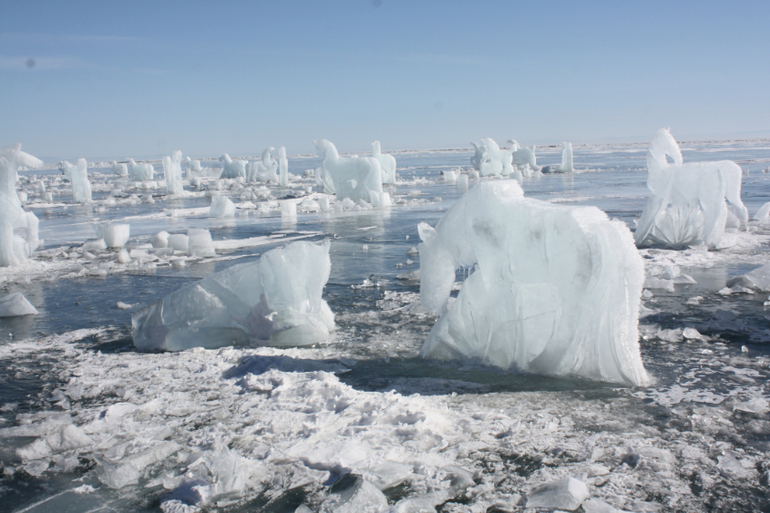 Табун ветров)) международный день ледяного молчания))