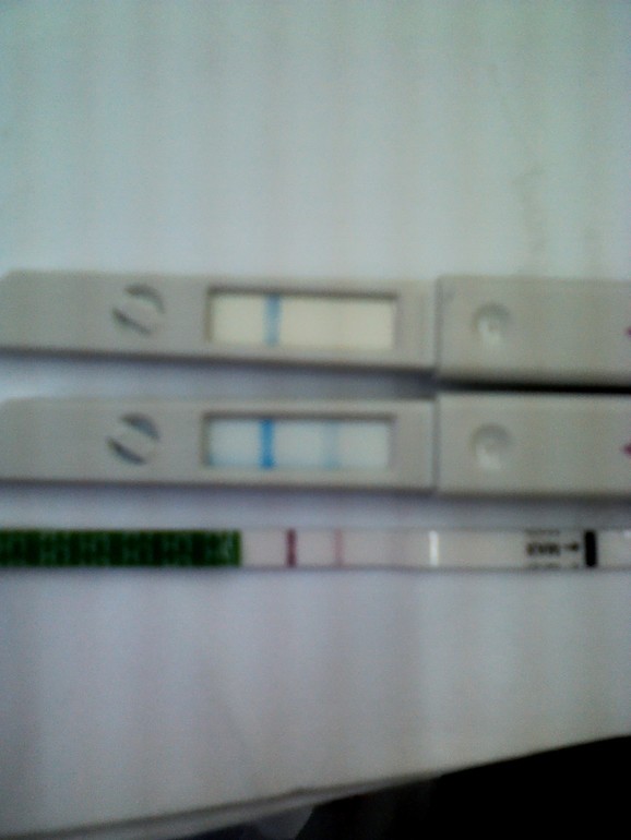 когда ждать мою мадам?