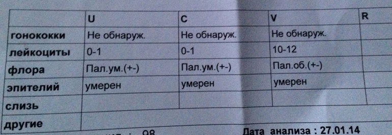 Флора
