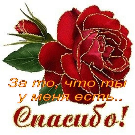 18e7bb1ae56937796557ea0ad80dd6fb.jpg
