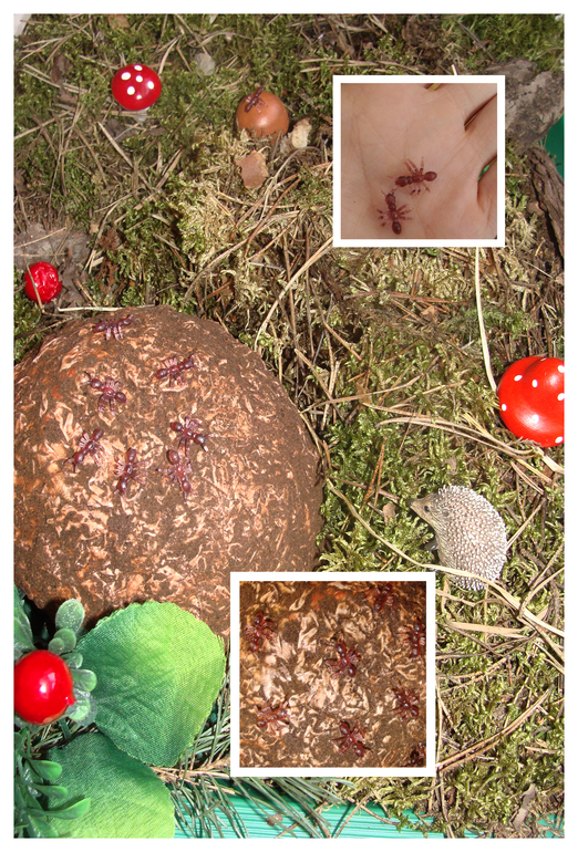 babce734373b4f9e6620b0830e360cf8.jpg