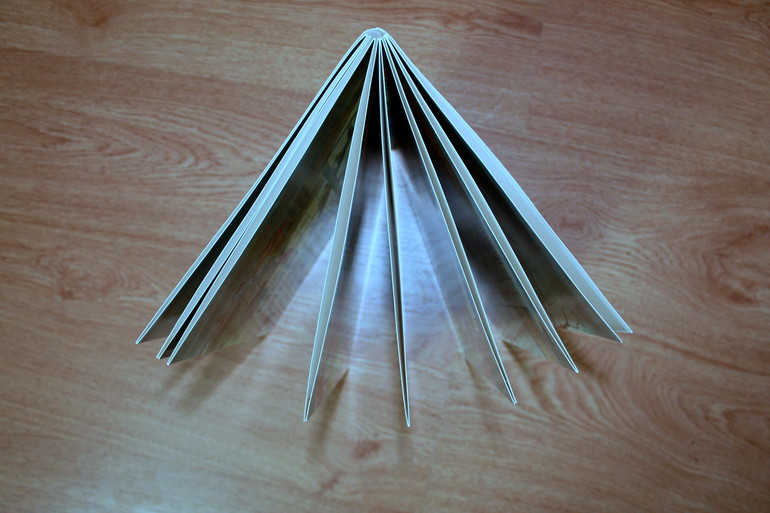 Быстрый КНИГОхвастик!