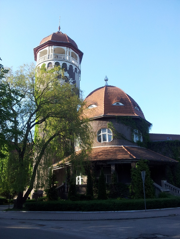 Светлогорск в мае с сыном год и 9 месяцев