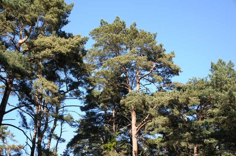 Светлогорск в мае с сыном год и 9 месяцев