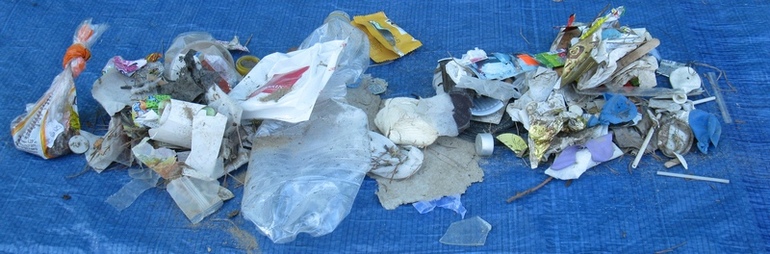 Светлогорск в мае с сыном год и 9 месяцев