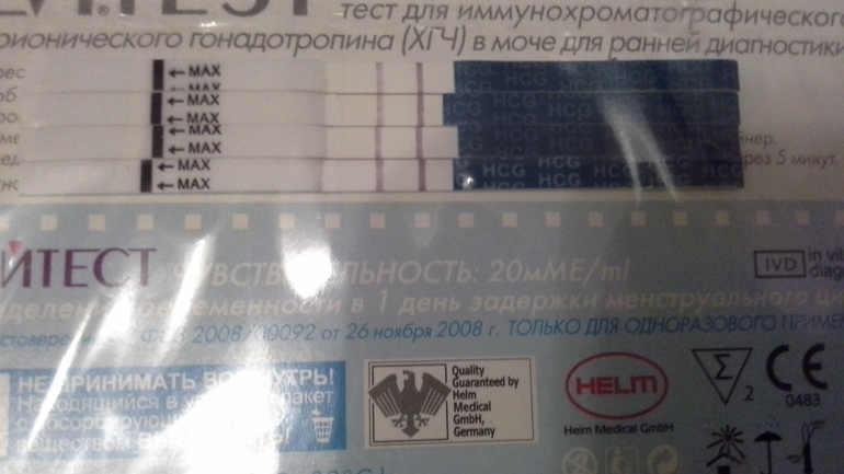 Есть ли динамика?