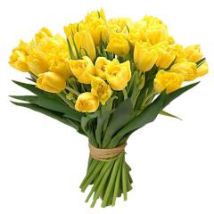 084312d26dad2cf89bcbc743894c61b0.jpg